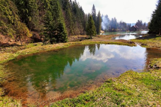 Sunny April day in the Ukrainian Carpathians, photo 7