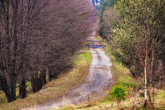 Sunny April day in the Ukrainian Carpathians, photo 9