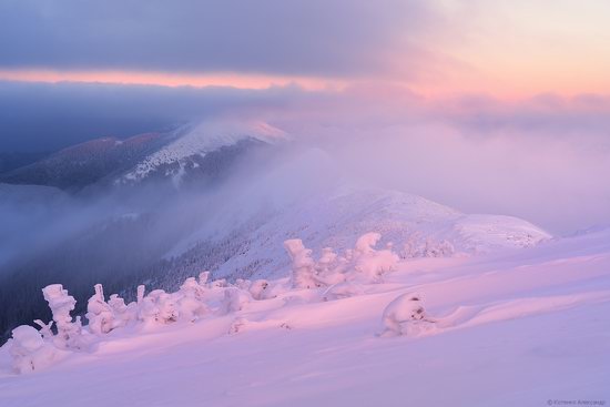 The mountain ranges of Gorgany in winter, Carpathians, Ukraine, photo 1