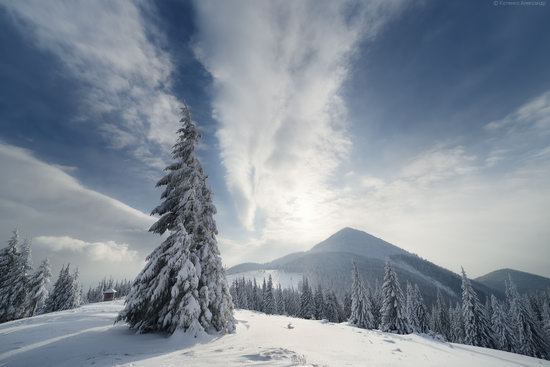 The mountain ranges of Gorgany in winter, Carpathians, Ukraine, photo 10