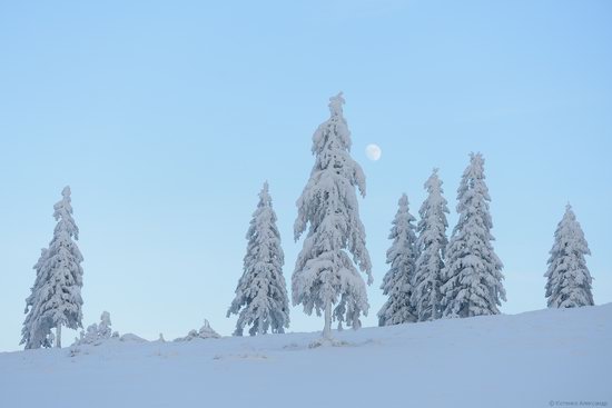 The mountain ranges of Gorgany in winter, Carpathians, Ukraine, photo 16