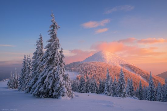 The mountain ranges of Gorgany in winter, Carpathians, Ukraine, photo 19