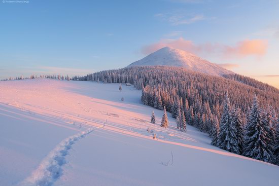 The mountain ranges of Gorgany in winter, Carpathians, Ukraine, photo 21