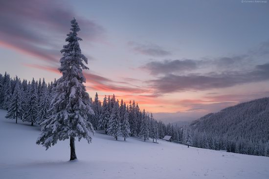 The mountain ranges of Gorgany in winter, Carpathians, Ukraine, photo 24