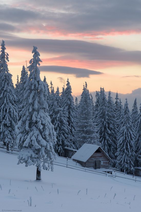 The mountain ranges of Gorgany in winter, Carpathians, Ukraine, photo 25