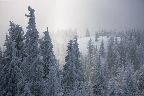 The mountain ranges of Gorgany in winter, Carpathians, Ukraine, photo 3