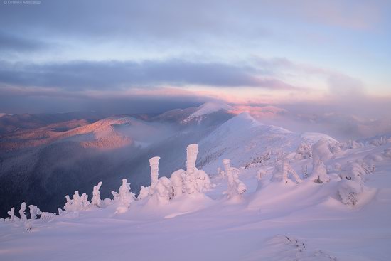 The mountain ranges of Gorgany in winter, Carpathians, Ukraine, photo 4