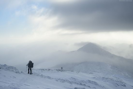 The mountain ranges of Gorgany in winter, Carpathians, Ukraine, photo 6