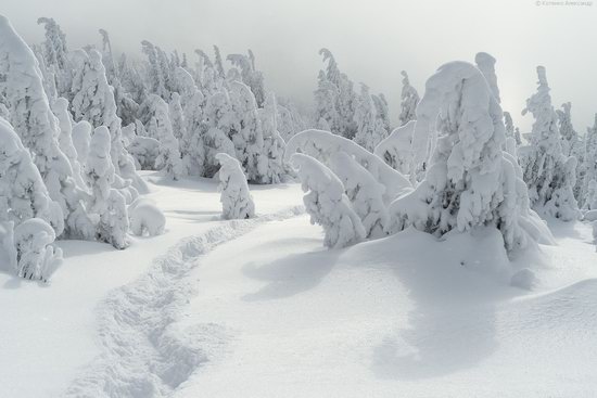 The mountain ranges of Gorgany in winter, Carpathians, Ukraine, photo 7