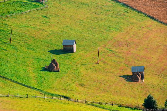 Yellow-green world of the Carpathians during haymaking, Ukraine, photo 13