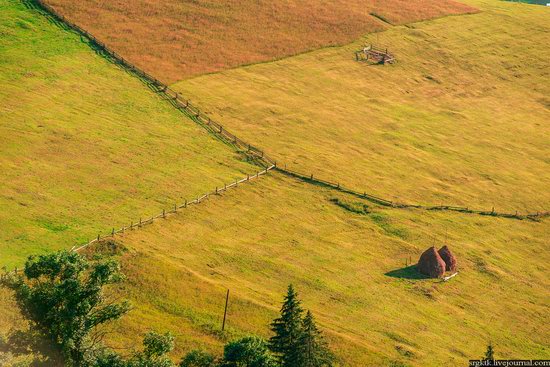 Yellow-green world of the Carpathians during haymaking, Ukraine, photo 15