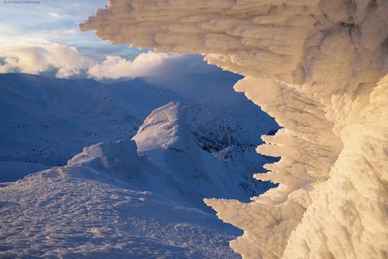 Snowy winter, Mount Pip Ivan, the Carpathians, Ukraine, photo 1