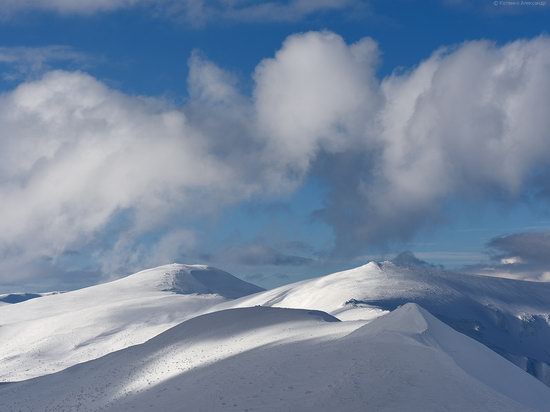 Snowy winter, Mount Pip Ivan, the Carpathians, Ukraine, photo 12