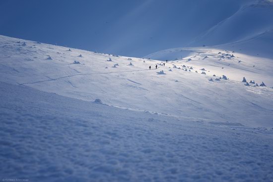 Snowy winter, Mount Pip Ivan, the Carpathians, Ukraine, photo 15