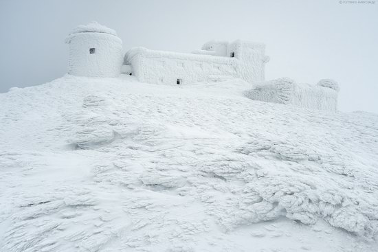 Snowy winter, Mount Pip Ivan, the Carpathians, Ukraine, photo 4