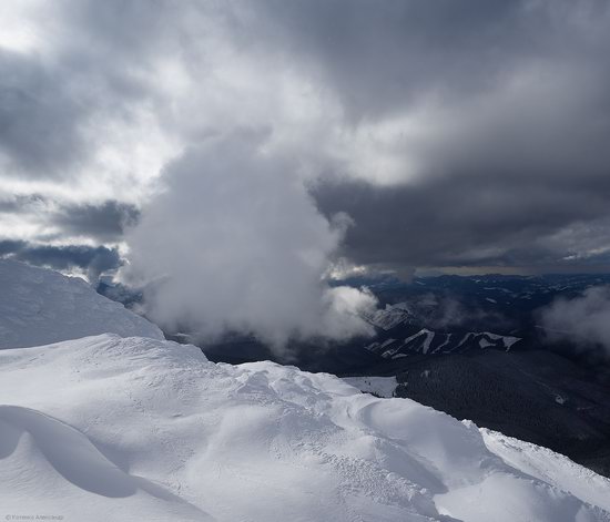 Snowy winter, Mount Pip Ivan, the Carpathians, Ukraine, photo 8