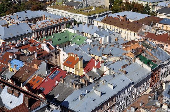 The roofs of Lviv, Ukraine, photo 13