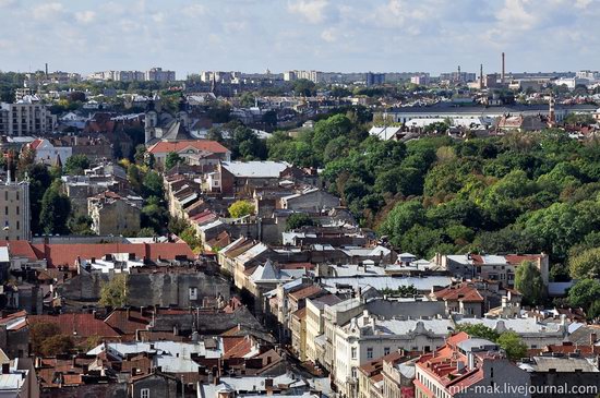 The roofs of Lviv, Ukraine, photo 19