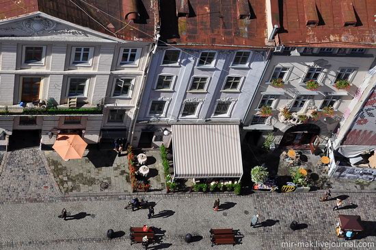 The roofs of Lviv, Ukraine, photo 21