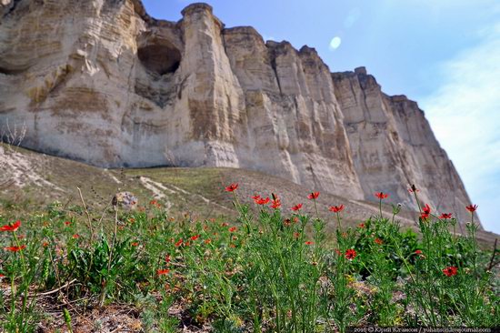 Belaya Skala, Crimea, photo 11