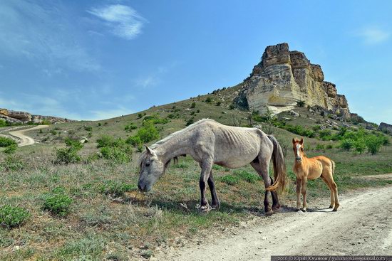 Belaya Skala, Crimea, photo 15