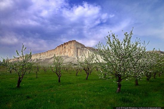 Belaya Skala, Crimea, photo 22