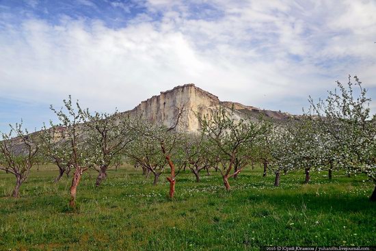 Belaya Skala, Crimea, photo 3