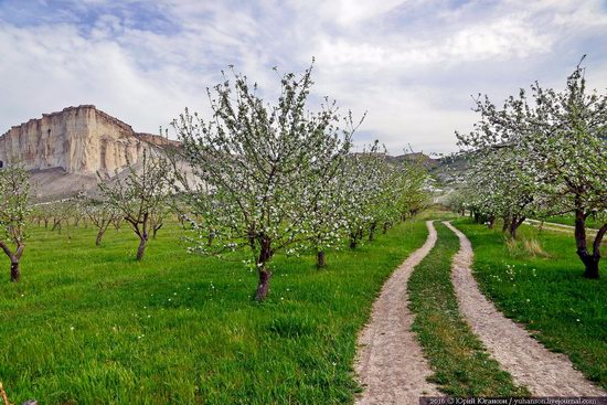 Belaya Skala, Crimea, photo 4