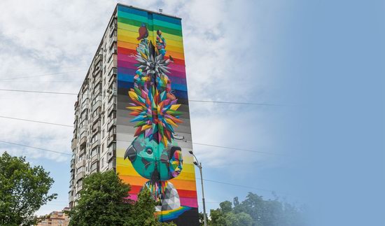 Kyiv murals street art, Ukraine, photo 1