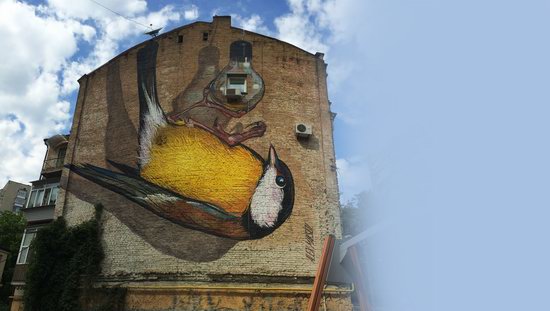 Kyiv murals street art, Ukraine, photo 15