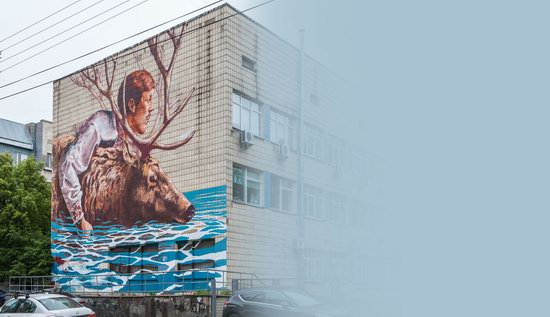 Kyiv murals street art, Ukraine, photo 26