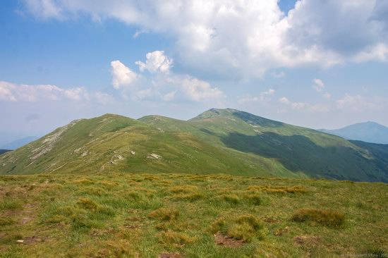 Chornohora range, Carpathians, Ukraine, photo 15