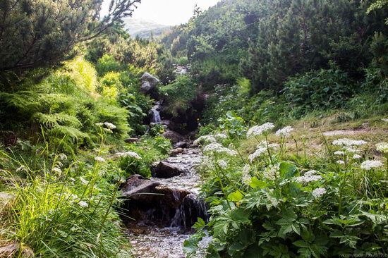 Chornohora range, Carpathians, Ukraine, photo 2