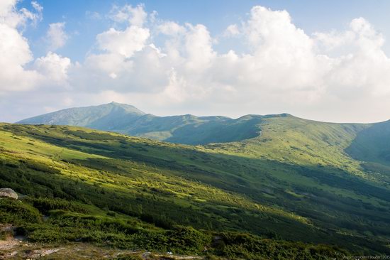 Chornohora range, Carpathians, Ukraine, photo 5