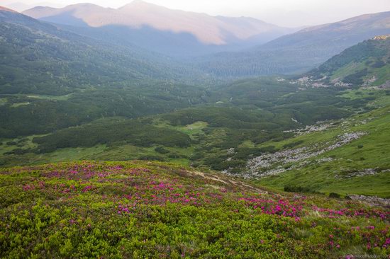 Chornohora range, Carpathians, Ukraine, photo 7