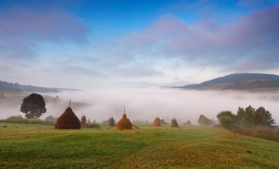 One misty autumn morning in the Carpathians, Ukraine, photo 1