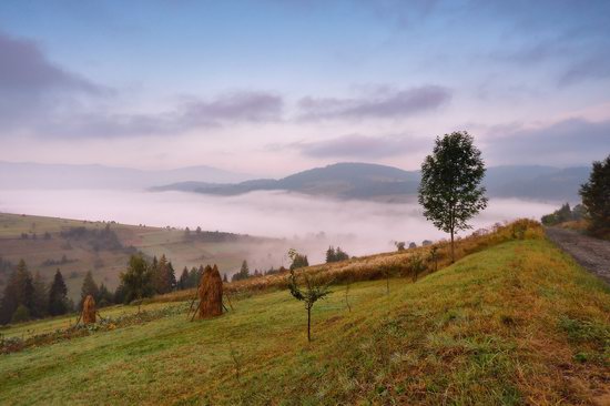 One misty autumn morning in the Carpathians, Ukraine, photo 2