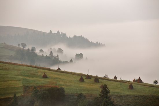 One misty autumn morning in the Carpathians, Ukraine, photo 3