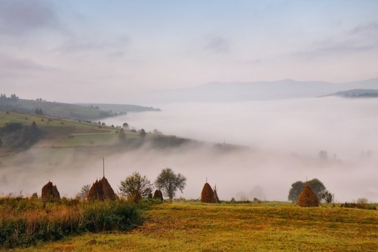 One misty autumn morning in the Carpathians, Ukraine, photo 4