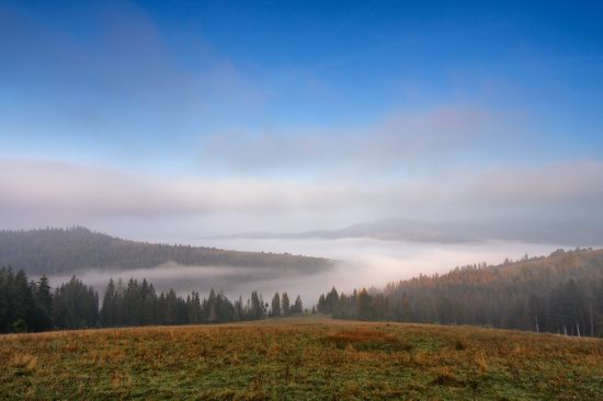 One misty autumn morning in the Carpathians, Ukraine, photo 6