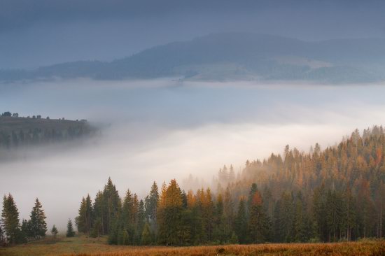 One misty autumn morning in the Carpathians, Ukraine, photo 7