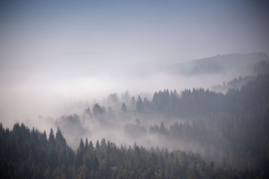 One misty autumn morning in the Carpathians, Ukraine, photo 8