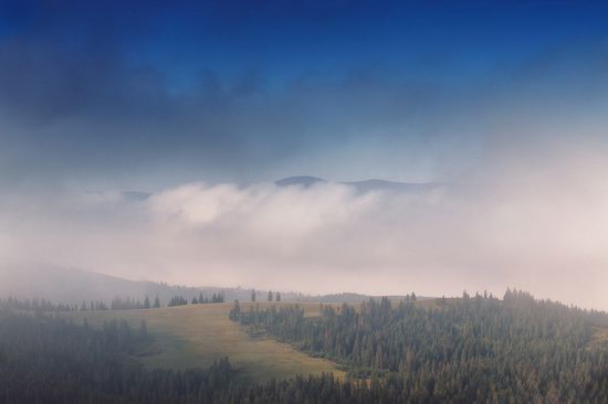 One misty autumn morning in the Carpathians, Ukraine, photo 9