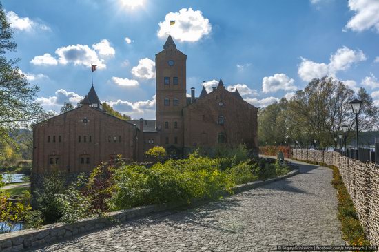 Castle Radomysl, Zhytomyr region, Ukraine, photo 4