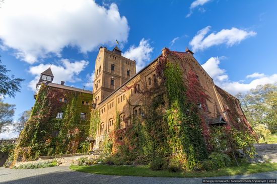 Castle Radomysl, Zhytomyr region, Ukraine, photo 8