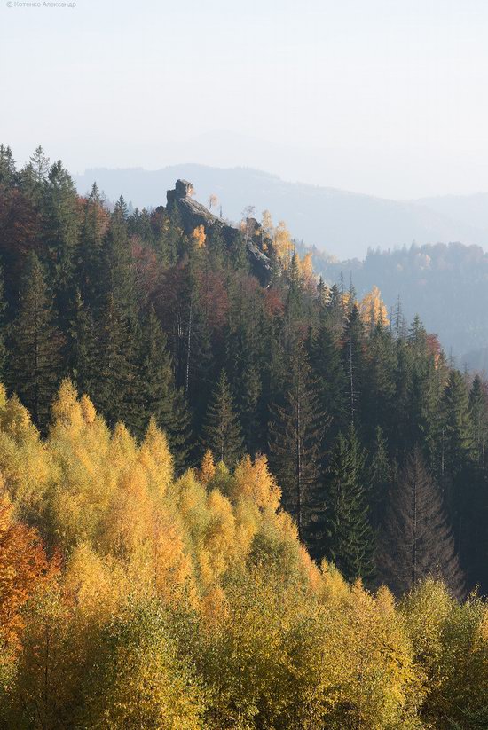 Golden autumn, Sokilsky Ridge, the Carpathians, Ukraine, photo 10