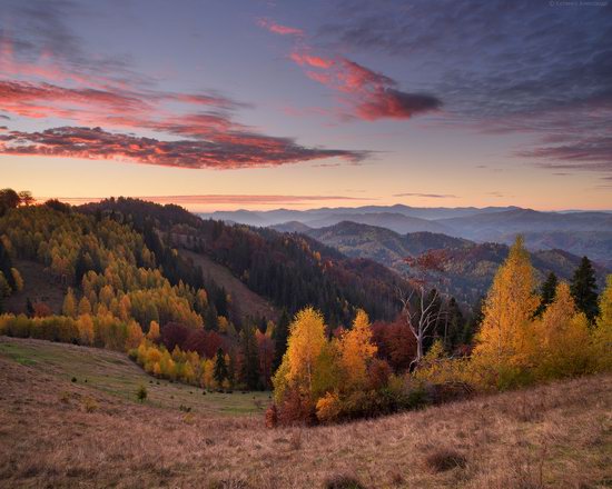 Golden Autumn on Sokilsky Ridge in the Carpathians · Ukraine travel blog