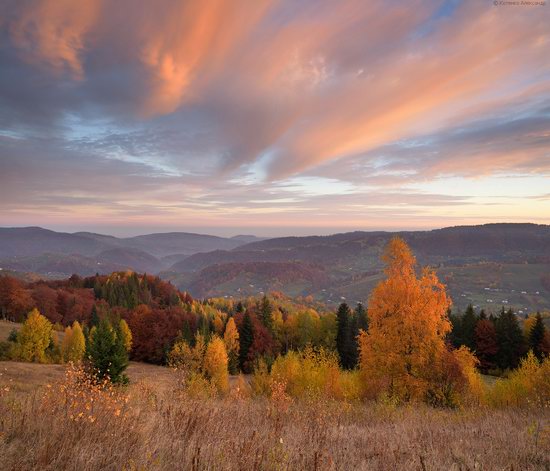 Golden autumn, Sokilsky Ridge, the Carpathians, Ukraine, photo 13