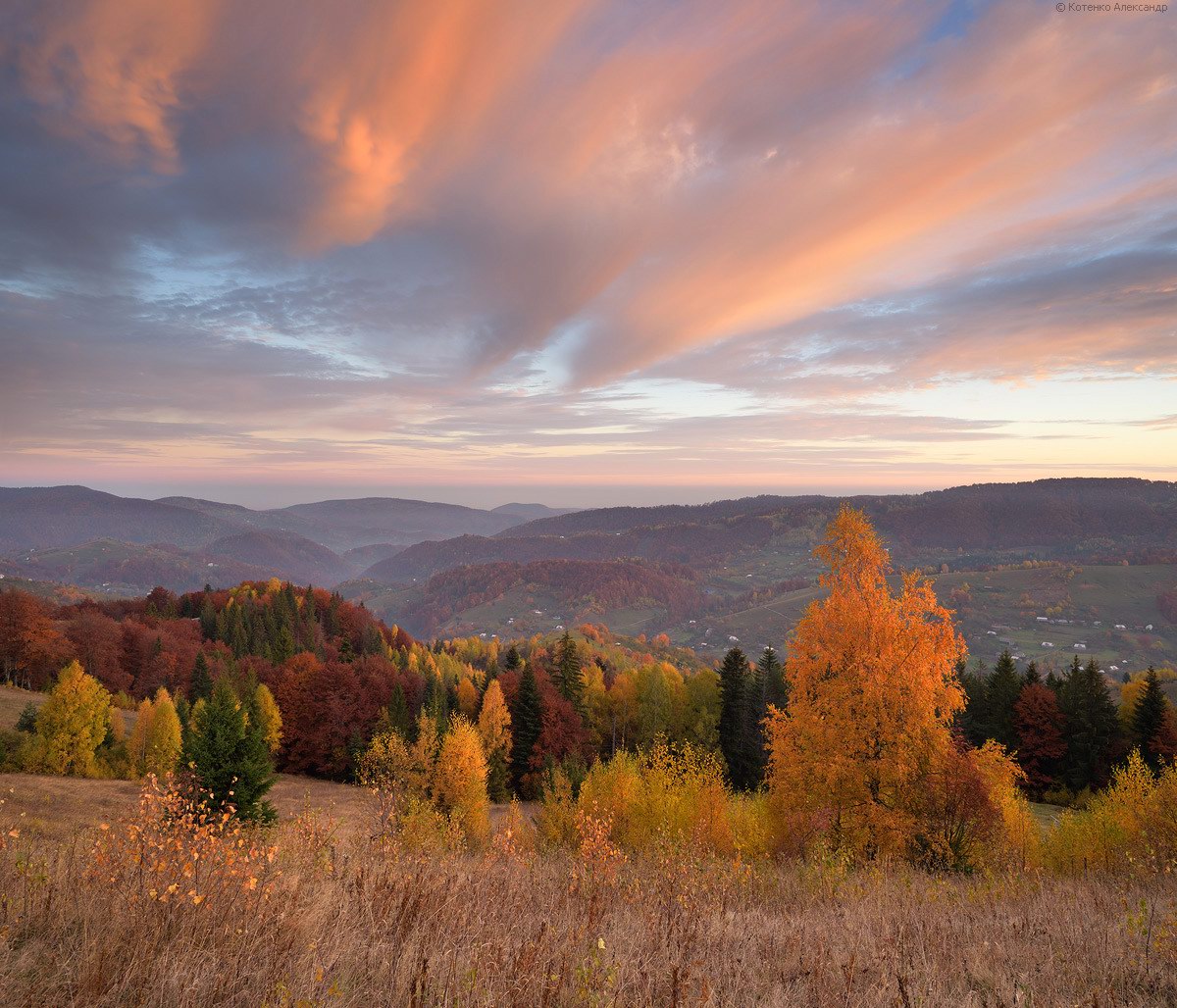 Golden Autumn on Sokilsky Ridge in the Carpathians · Ukraine travel blog