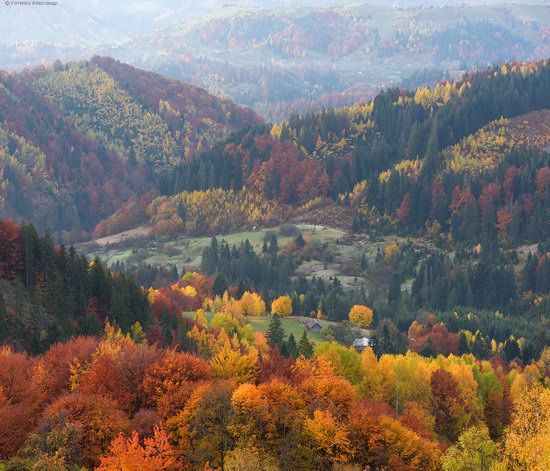 Golden autumn, Sokilsky Ridge, the Carpathians, Ukraine, photo 14